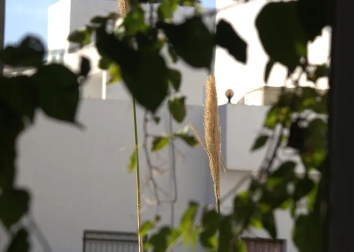 Residence Sterne