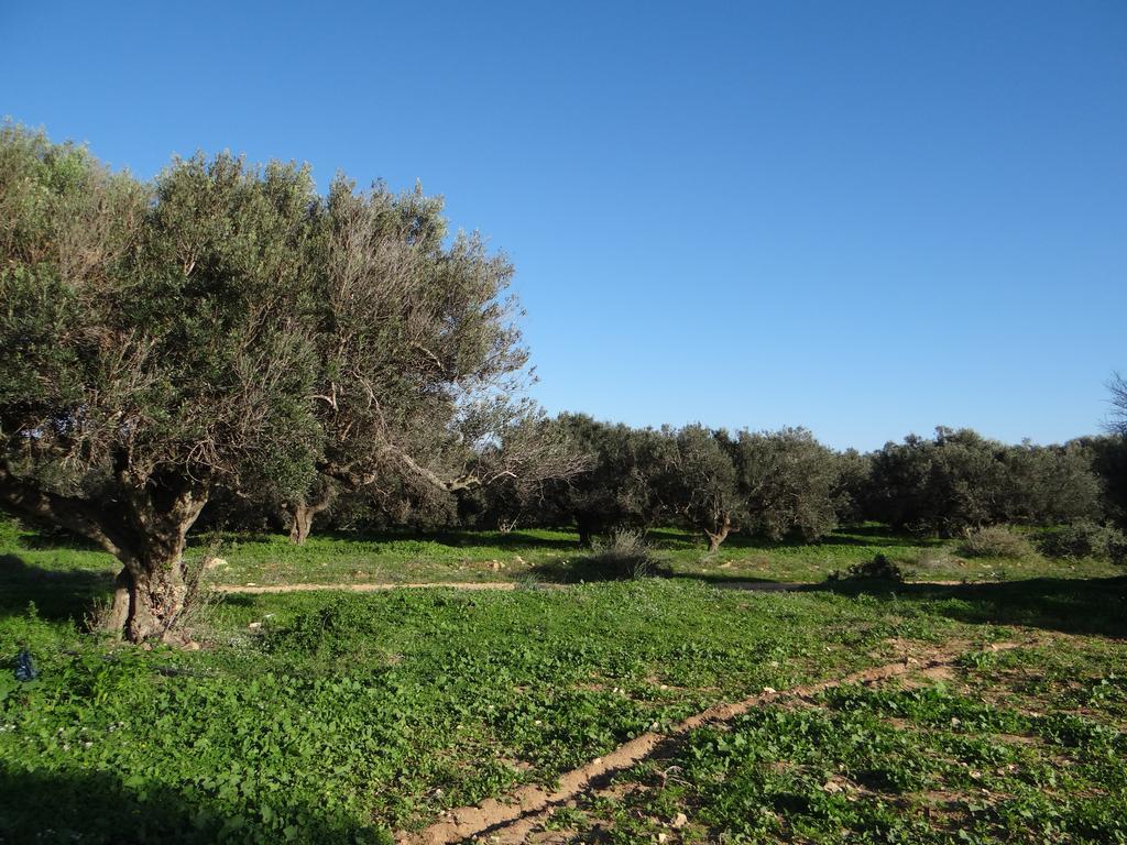 Sterne Apartamento Hammam al Ghazzaz